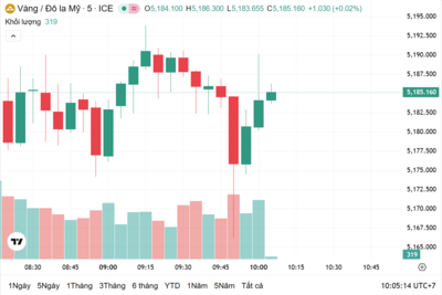 <a href="/vang-tien-te" title="Vàng - Tiền tệ" rel="dofollow">Vàng tiền tệ</a>