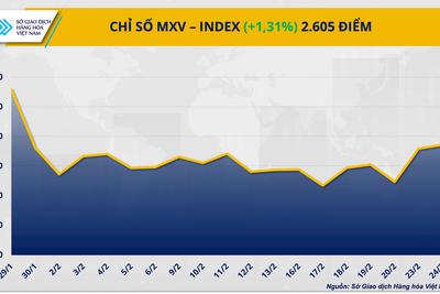 <a href="/thong-tin-thi-truong" title="Thông tin thị trường" rel="dofollow">Thông tin thị trường</a>