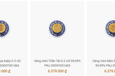 <a href="/vang-tien-te" title="Vàng - Tiền tệ" rel="dofollow">Vàng tiền tệ</a>