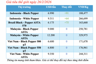 <a href="/thong-tin-thi-truong" title="Thông tin thị trường" rel="dofollow">Thông tin thị trường</a>