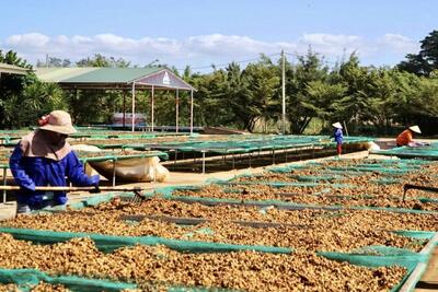 <a href="/tin-doanh-nghiep" title="Tin doanh nghiệp" rel="dofollow">Tin doanh nghiệp</a>