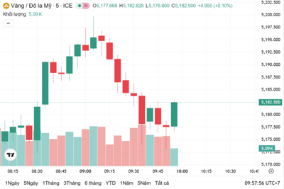 <a href="/vang-tien-te" title="Vàng - Tiền tệ" rel="dofollow">Vàng tiền tệ</a>