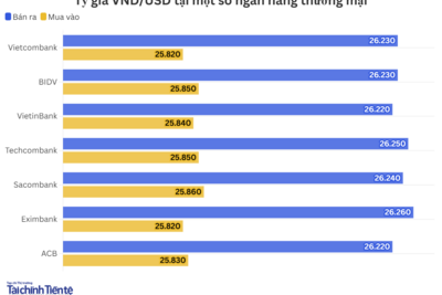 <a href="/vang-tien-te" title="Vàng - Tiền tệ" rel="dofollow">Vàng tiền tệ</a>