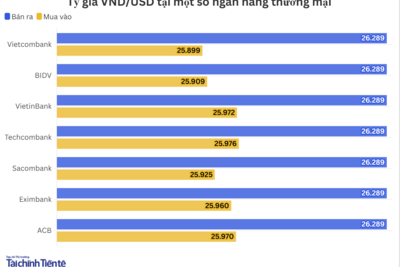 <a href="/vang-tien-te" title="Vàng - Tiền tệ" rel="dofollow">Vàng tiền tệ</a>
