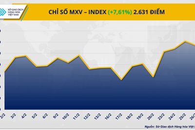<a href="/thong-tin-thi-truong" title="Thông tin thị trường" rel="dofollow">Thông tin thị trường</a>