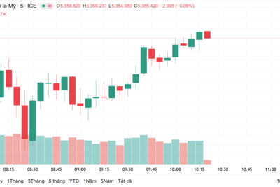 <a href="/vang-tien-te" title="Vàng - Tiền tệ" rel="dofollow">Vàng tiền tệ</a>