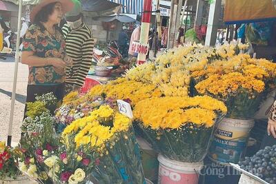 <a href="/thong-tin-thi-truong" title="Thông tin thị trường" rel="dofollow">Thông tin thị trường</a>