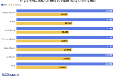 <a href="/vang-tien-te" title="Vàng - Tiền tệ" rel="dofollow">Vàng tiền tệ</a>