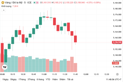 <a href="/vang-tien-te" title="Vàng - Tiền tệ" rel="dofollow">Vàng tiền tệ</a>