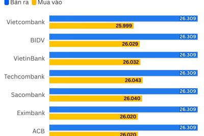 <a href="/vang-tien-te" title="Vàng - Tiền tệ" rel="dofollow">Vàng tiền tệ</a>