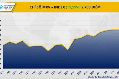 <a href="/thong-tin-thi-truong" title="Thông tin thị trường" rel="dofollow">Thông tin thị trường</a>
