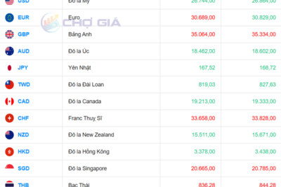 <a href="/vang-tien-te" title="Vàng - Tiền tệ" rel="dofollow">Vàng tiền tệ</a>