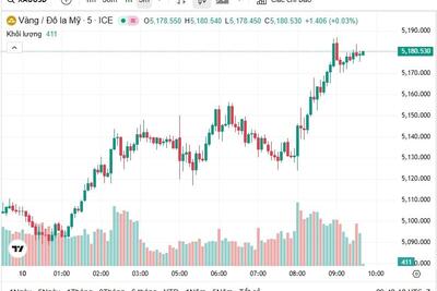 <a href="/vang-tien-te" title="Vàng - Tiền tệ" rel="dofollow">Vàng tiền tệ</a>