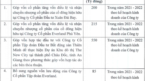 EverLand (EVG) sắp chào bán hơn 200 triệu cổ phiếu, tăng gấp đôi vốn