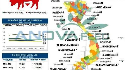 Giá lợn hơi dừng trạng thái “rơi tự do”, nhưng khó tăng mạnh trong Tết