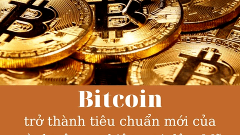 Bước tiến mới của tiền số: Từ web 'người lớn' đến gái bán hoa đều chấp nhận khách thanh toán bằng Bitcoin