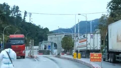 Hàng trăm container nông sản được thông quan đầu năm