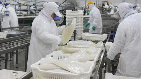 Xuất khẩu hải sản đạt 565 triệu USD trong 2 tháng đầu năm
