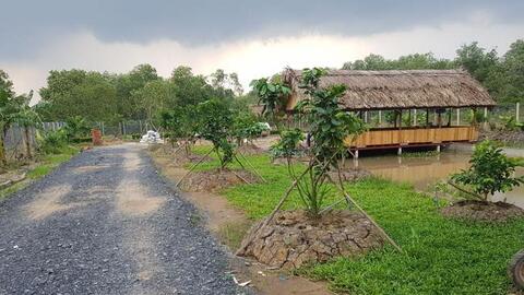 Giá đất tăng phi mã, người thành phố về quê “săn” đất vườn làm farmstay