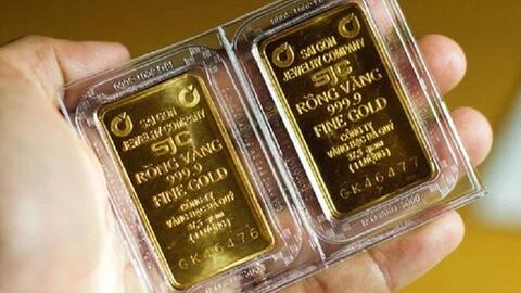 Giá vàng trong nước đang đắt hơn 18 triệu đồng/lượng so với vàng quốc tế