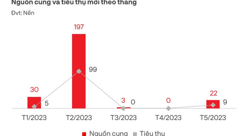 Vào mùa du lịch, thị trường bất động sản Đà Nẵng diễn biến ra sao?