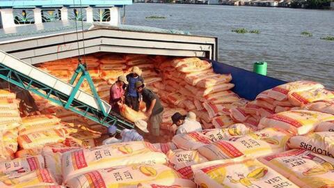 Xuất khẩu gạo, rau quả dự kiến lập kỷ lục mới