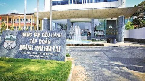 Hoàng Anh Gia Lai (HAGL): Lợi nhuận 9 tháng đạt 710 tỷ đồng, tự tin nguồn thu từ chuối sẽ tăng mạnh vào cuối năm