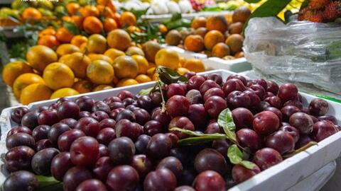 Đắt hơn thịt, mận đầu mùa giá gần 300.000 đồng/kg, khách không tiếc tiền mua