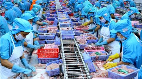 Xuất khẩu thủy sản quý I/2024 đạt gần 2 tỷ USD
