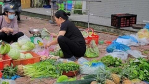 Khi nào thì giá rau xanh "hạ nhiệt"?