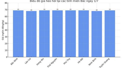 Giá heo hơi hôm nay 1/7/2025: Giảm nhẹ tại miền Trung - Tây Nguyên