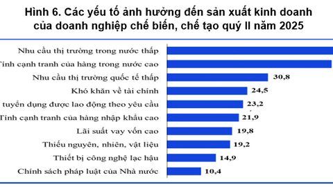 Số doanh nghiệp thành lập mới trong tháng 6 tăng 60,5% so với cùng kỳ