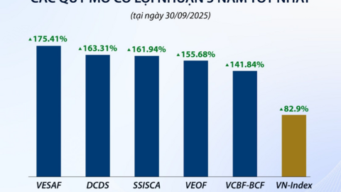 VN-Index quý III/2025: Bứt phá mạnh mẽ, quỹ mở hưởng lợi ‎
