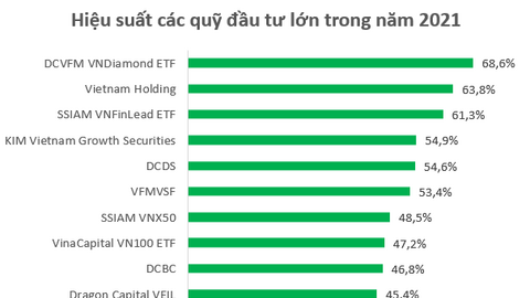 Chứng khoán thăng hoa, quỹ đầu tư “đại thắng” năm 2021
