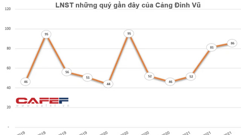 Cảng Đình Vũ (DVP) chốt danh sách cổ đông tạm ứng cổ tức bằng tiền tỷ lệ 15%