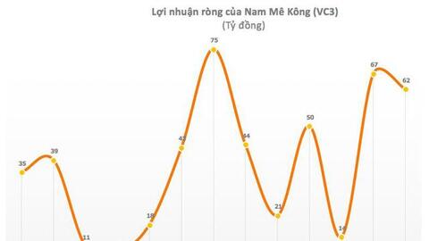 Nam Mê Kông (VC3): Quý 4 lãi 48 tỷ đồng, cao gấp 14 lần cùng kỳ
