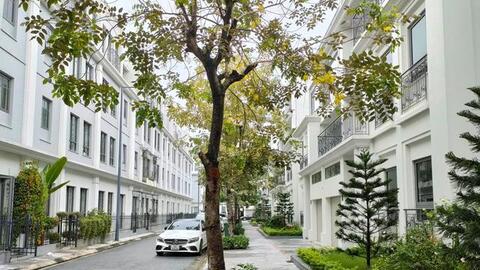 Phân khúc dành cho giới nhà giàu ven đô sẽ còn tiếp tục tăng giá