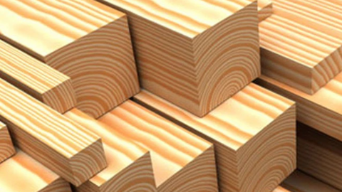 Gỗ An Cường (ACG) báo lãi 451 tỷ đồng, giảm 8% so với năm trước, thị giá cổ phiếu vẫn duy trì trên 100.000 đồng