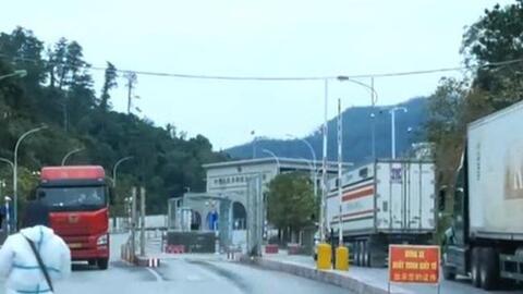 Hàng trăm container nông sản được thông quan đầu năm