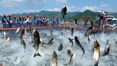 Lãi đột biến hơn 1.400 tỷ đồng nhờ nhận cổ tức, SeaProdex xin ý kiến cổ đông để chi tạm ứng cổ tức bằng tiền tỷ lệ 95%