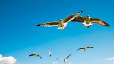 Nhiều nhóm ngành đồng thuận bứt phá, VN-Index tăng hơn 10 điểm, vượt mốc 1.500