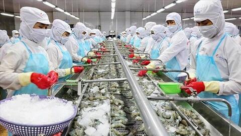 Xuất khẩu tháng 1/2022 tăng 44% - ngành thủy sản khởi sắc trở lại?