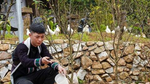 Chàng trai mở 'khu vườn cổ tích' từ mảnh đất trống vườn nhà, khách nô nức check in đem về cho chủ tiền tỷ