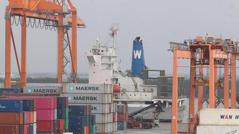 Vụ 100 container hạt điều xuất sang Italia: Bộ Công Thương vào cuộc hỗ trợ doanh nghiệp