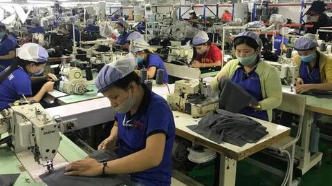 Doanh nghiệp rơi vào thế khó khi lượng lớn lao động là F0