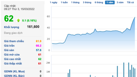 ĐHĐCĐ Angimex (AGM): Sẽ phát hành tăng vốn 130% trong quý 1/2022