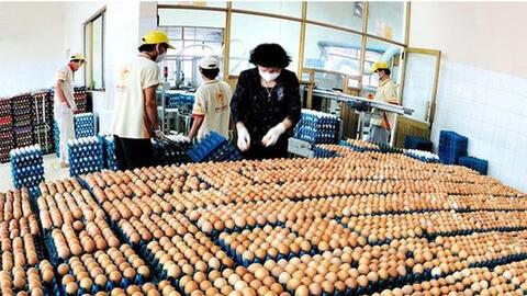 "Nữ hoàng trứng" Ba Huân bất ngờ chuyển quyền điều hành công ty cho một doanh nhân bí ẩn