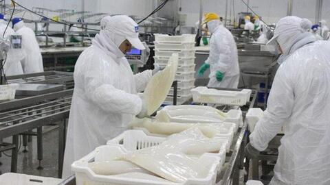 Xuất khẩu hải sản đạt 565 triệu USD trong 2 tháng đầu năm