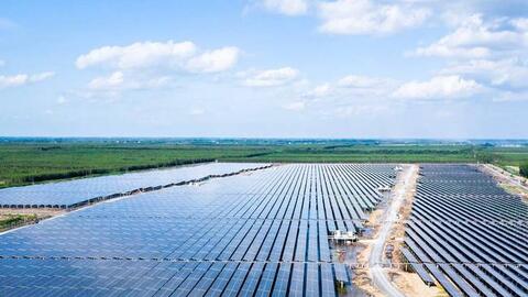 Bamboo Capital (BCG): Lợi nhuận sau kiểm toán chạm mức 1.000 tỷ đồng