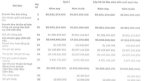 Nedi 2 (ND2): Quý 1/2022 lãi 29 tỷ đồng trong khi cùng kỳ thua lỗ